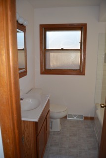 3824 153rd Pl, Midlothian, IL 60445 photo 10