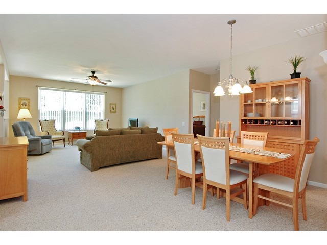 2829 Cascade Falls Cir, Elgin, IL 60124 photo 4
