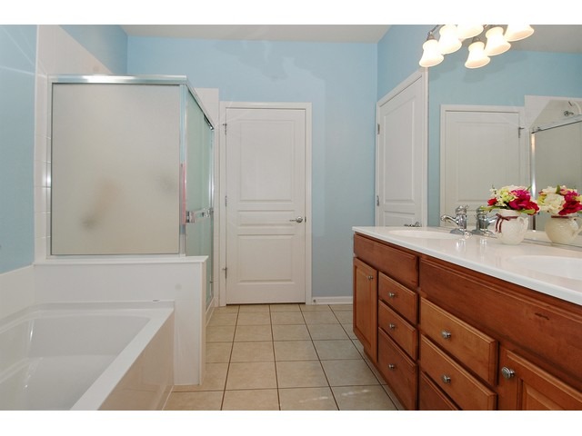 2829 Cascade Falls Cir, Elgin, IL 60124 photo 10