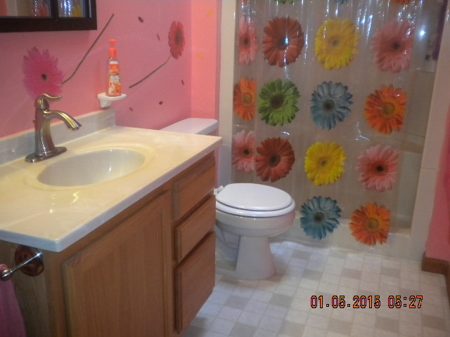 408 E Cook St, Sheffield, IL 61361 photo 10