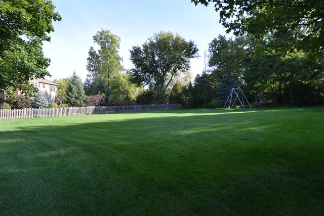725 Elm St, Wheaton, IL 60189 photo 14
