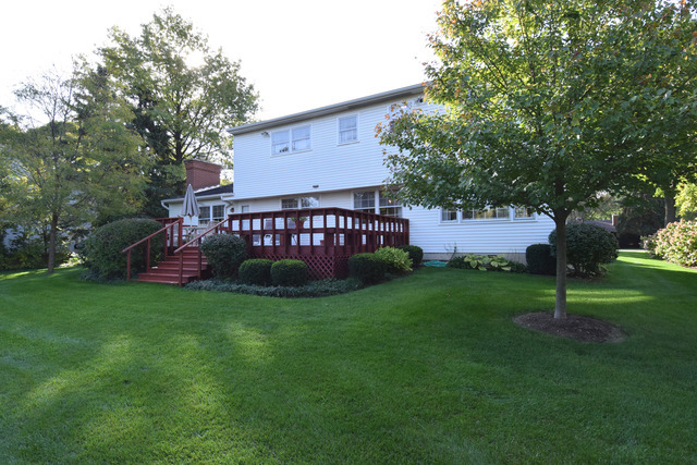 725 Elm St, Wheaton, IL 60189 photo 13