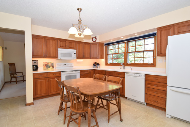725 Elm St, Wheaton, IL 60189 photo 1