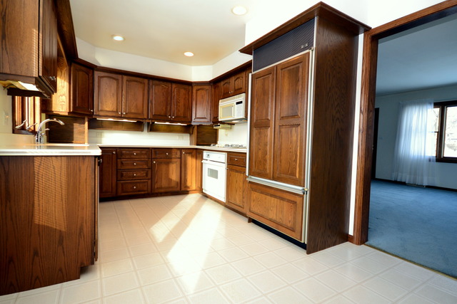 200 N Hickory Ave, Bartlett, IL 60103 photo 3