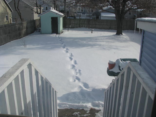 804 Bangs St, Aurora, IL 60505 photo 5