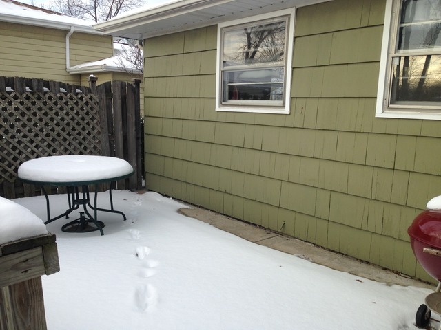 2603 Campbell St, Rolling Meadows, IL 60008 photo 23