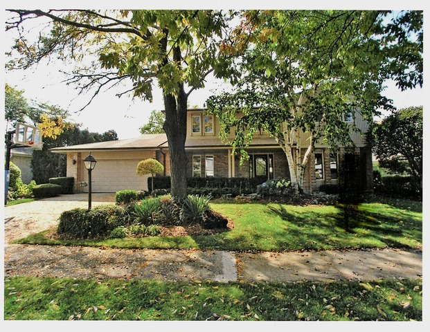 4331 Phyllis Dr, Northbrook, IL 60062 photo 23