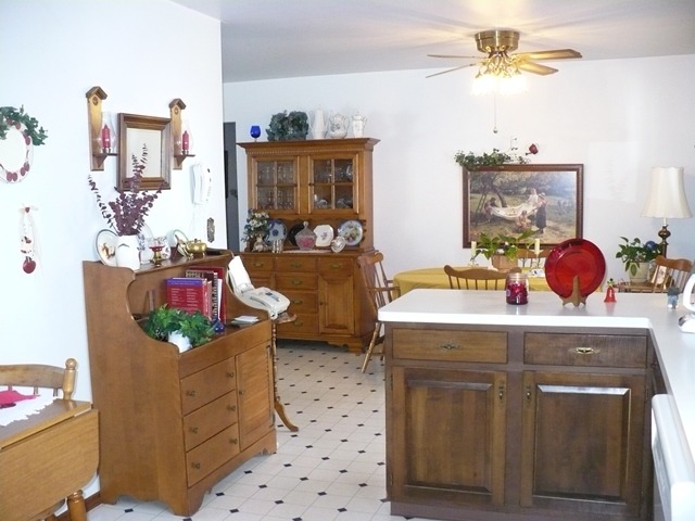 331 W Erickson St, Lee, IL 60530 photo 7