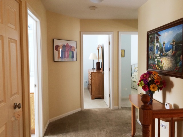 210 Tralee Ln, Mchenry, IL 60050 photo 11
