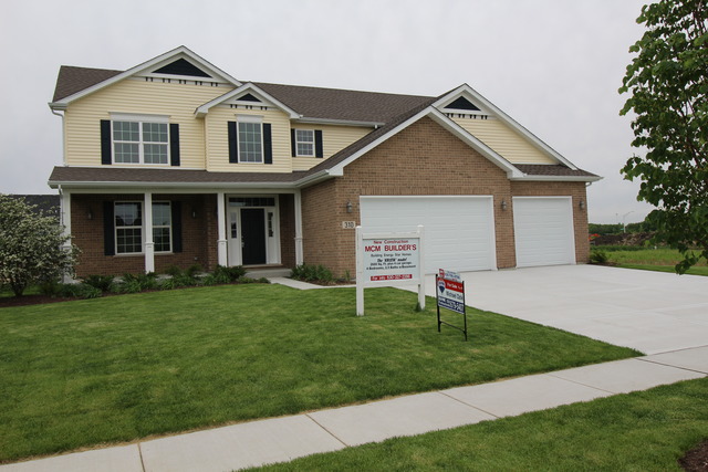 310 W Frontier Dr, Minooka, IL 60447 photo 1