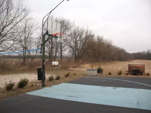 3040 E Spring Rd, Mazon, IL 60444 photo 23
