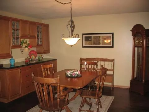 3040 E Spring Rd, Mazon, IL 60444 photo 4