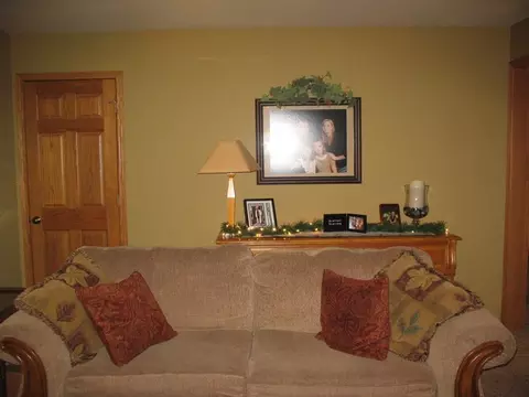 3040 E Spring Rd, Mazon, IL 60444 photo 14