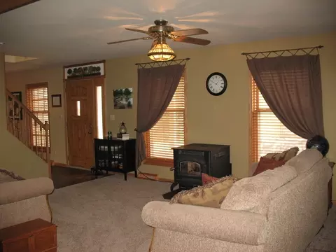 3040 E Spring Rd, Mazon, IL 60444 photo 8