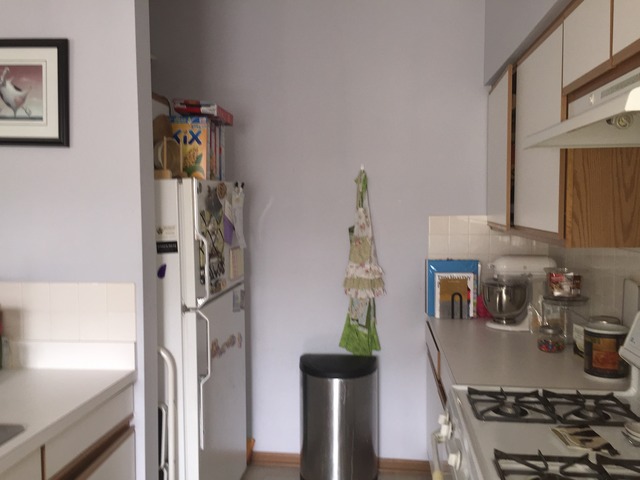 127 Braxton Ln, Aurora, IL 60504 photo 7