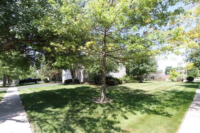 1189 Charter Oaks Dr, Bartlett, IL 60103 photo 6