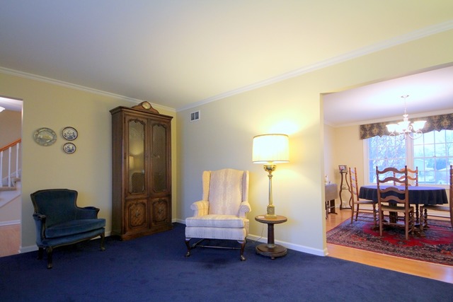 301 High Point Dr, Lake Villa, IL 60046 photo 5