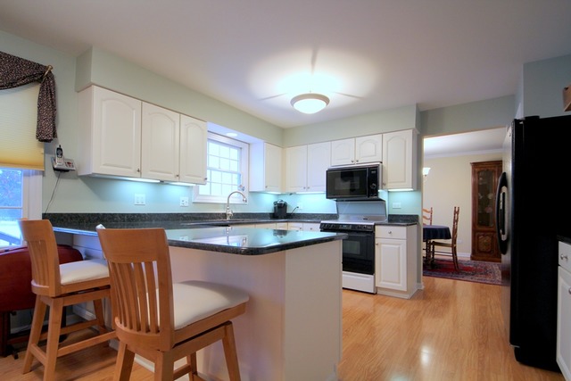 301 High Point Dr, Lake Villa, IL 60046 photo 8