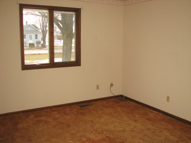 315 N Cedar St, Gardner, IL 60424 photo 20