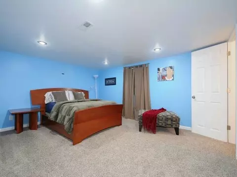 11331 S Preakness Dr, Plainfield, IL 60585 photo 20