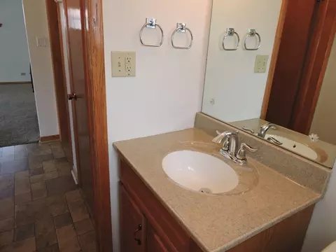 2313 185th St, Lansing, IL 60438 photo 16