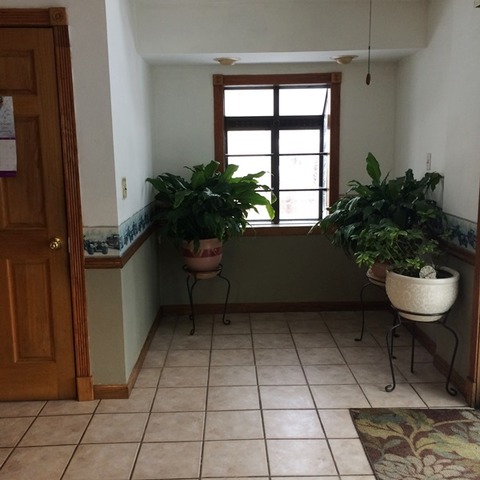 2809 E 95th St, Chicago, IL 60617 photo 3