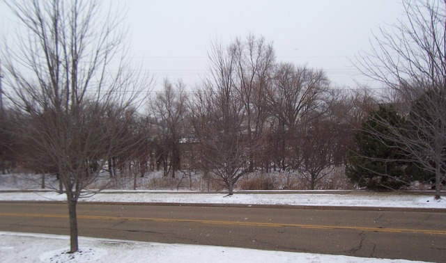 431 E Railroad Ave, Bartlett, IL 60103 photo 18