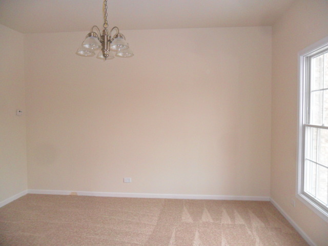 4 Covington Ct, Algonquin, IL 60102 photo 10