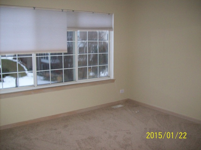 437 Summersweet Ln, Bartlett, IL 60103 photo 7