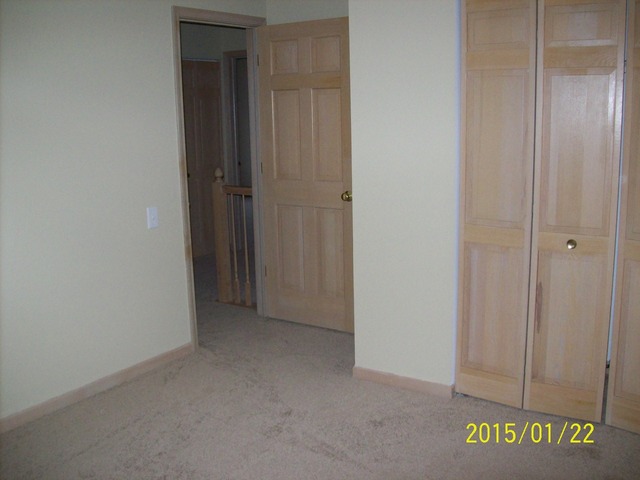 437 Summersweet Ln, Bartlett, IL 60103 photo 10