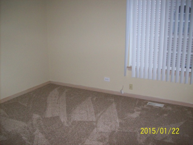 437 Summersweet Ln, Bartlett, IL 60103 photo 9
