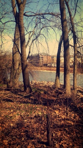 8010 River Walk Dr #2f, Lyons, IL 60534 photo 2