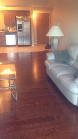 8010 River Walk Dr #2f, Lyons, IL 60534 photo 5