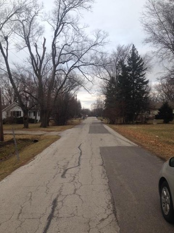 941 Forest Ave, Glen Ellyn, IL 60137 photo 2