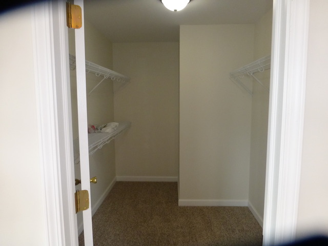 530 E Armitage Ave, Addison, IL 60101 photo 15
