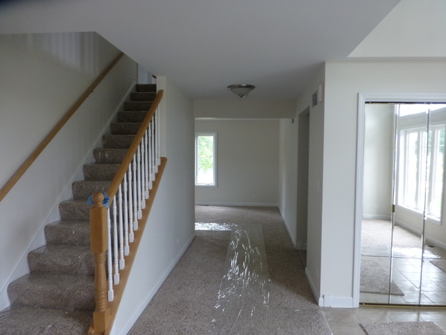530 E Armitage Ave, Addison, IL 60101 photo 5