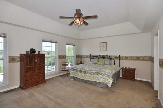1011 Granger Rd, Bartlett, IL 60103 photo 15