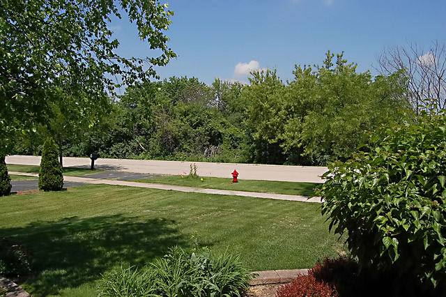 1011 Granger Rd, Bartlett, IL 60103 photo 23