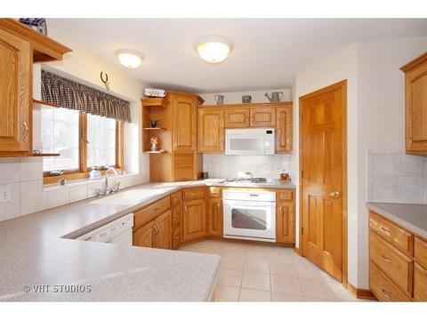 147 E Bergera Rd, Braidwood, IL 60408 photo 3