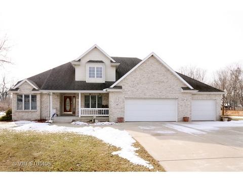 147 E Bergera Rd, Braidwood, IL 60408 photo 1
