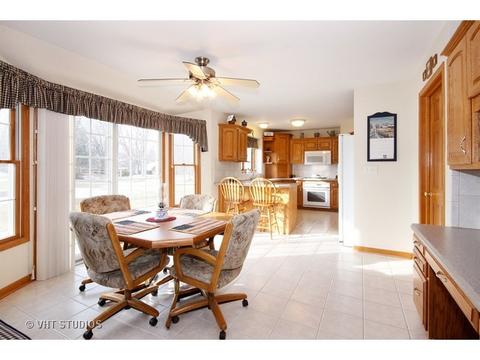 147 E Bergera Rd, Braidwood, IL 60408 photo 2