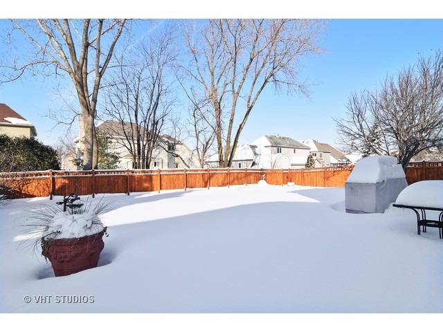 522 Logan St, Roselle, IL 60172 photo 25