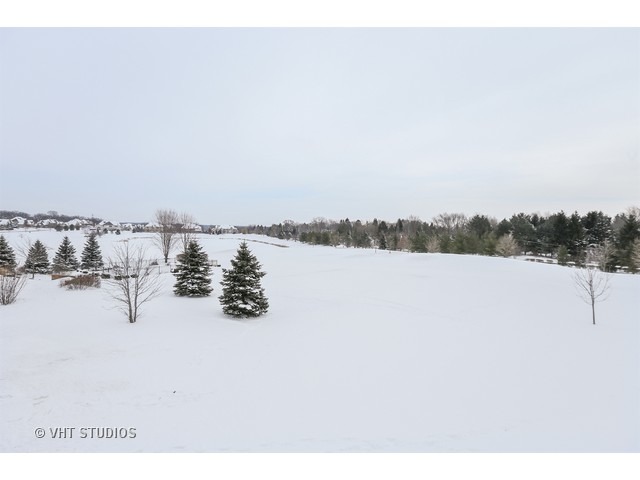 24579 Whispering Wheat Ln, Cary, IL 60013 photo 24