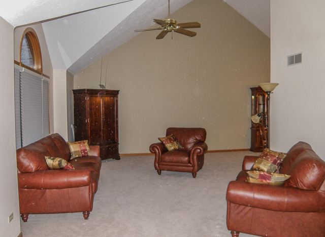 15337 S Timber Dr, Plainfield, IL 60544 photo 15