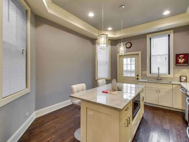 817 E Bowen Dr, Chicago, IL 60653 photo 10