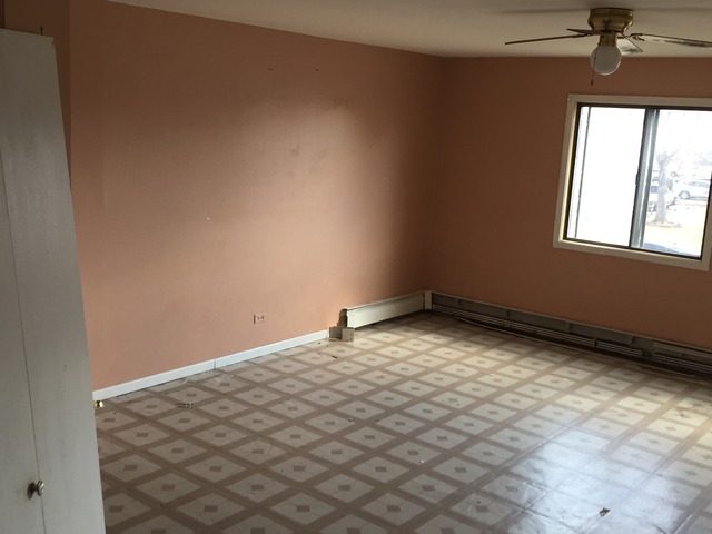 420 Echo Ln #3, Aurora, IL 60504 photo 9