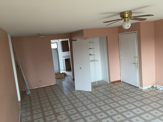 420 Echo Ln #3, Aurora, IL 60504 photo 3
