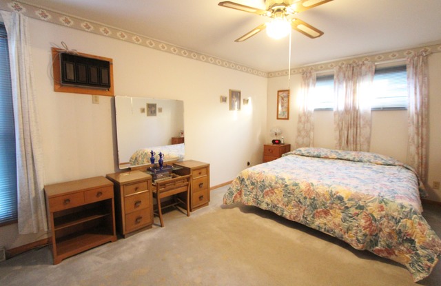 408 Depot St, Mazon, IL 60444 photo 14
