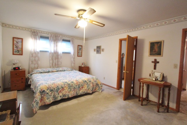 408 Depot St, Mazon, IL 60444 photo 13