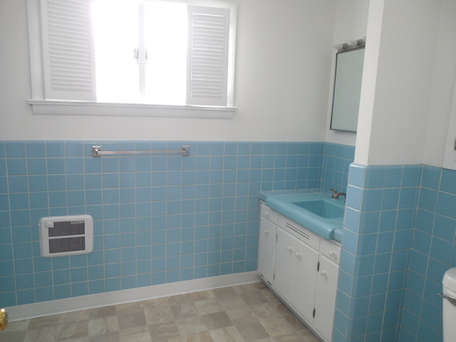 14 Chatham Cir, Kankakee, IL 60901 photo 9